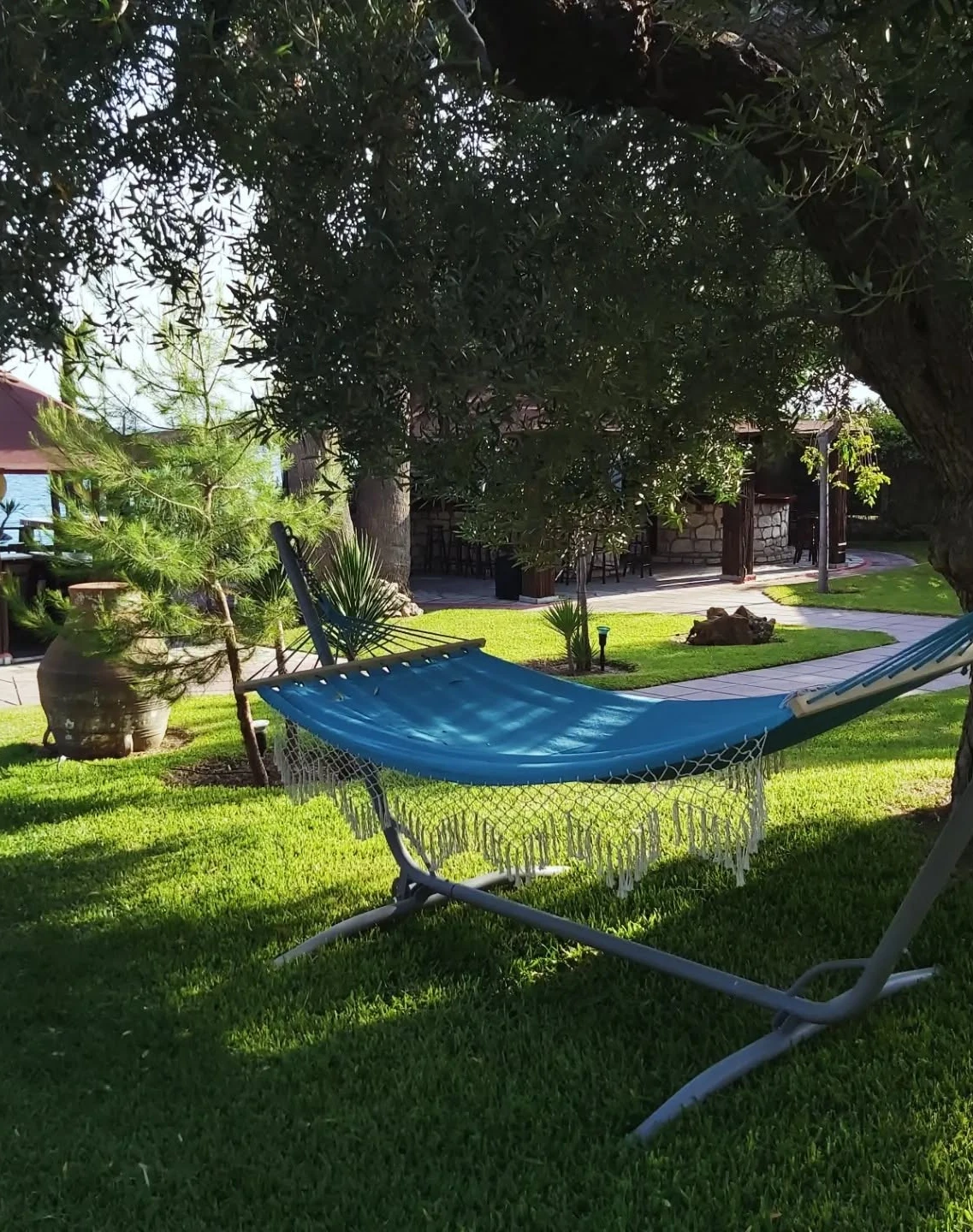 Hammock strung between olive trees in Kudu's garden, with the sea beyond