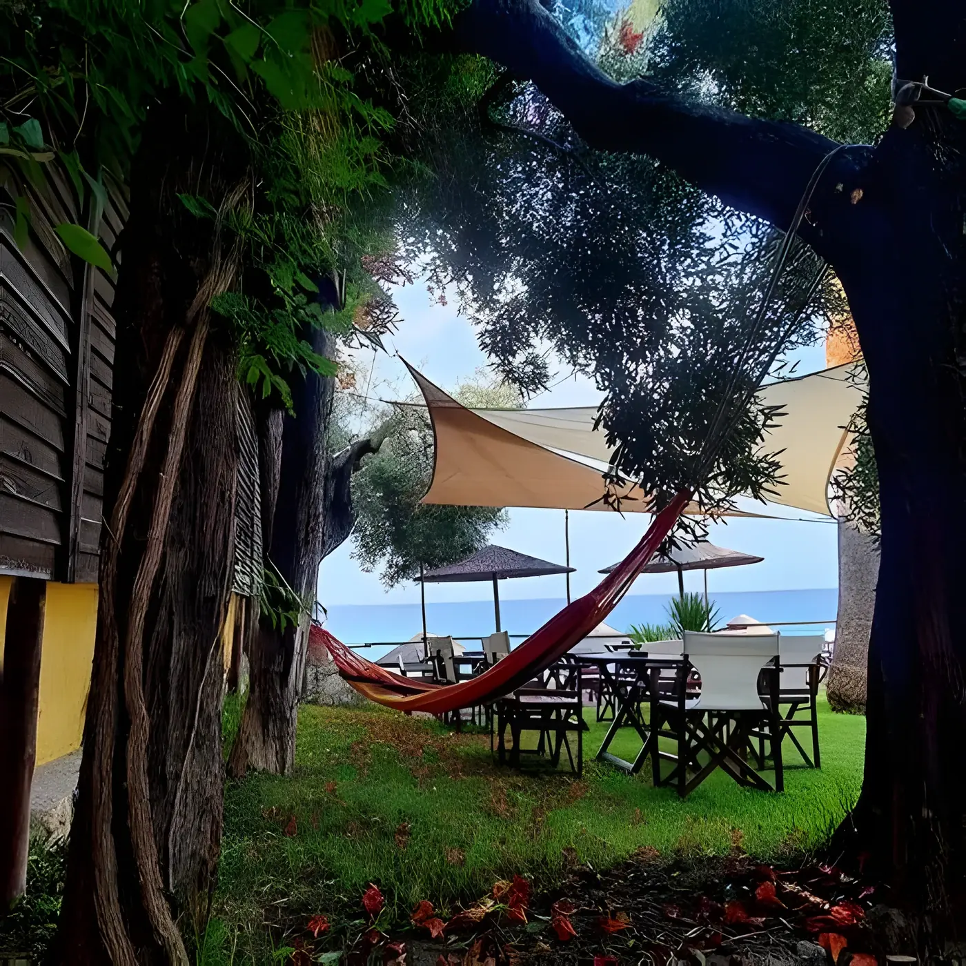 Hammock strung between olive trees in Kudu's garden, with the sea beyond