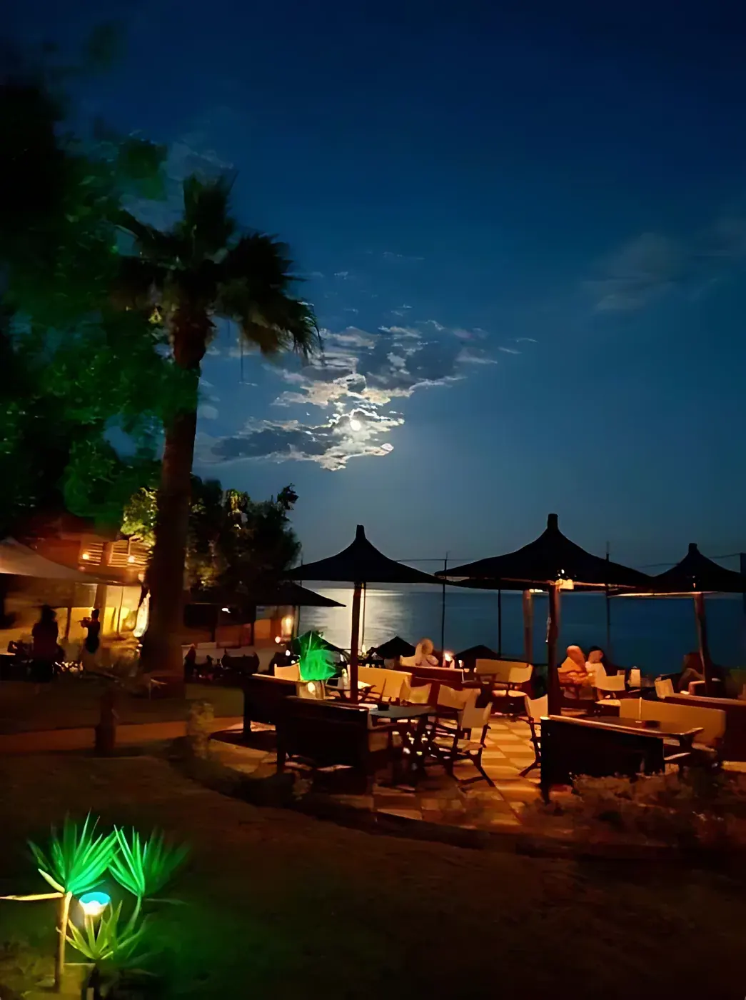 Full moon over Kudu's beachfront tables at night, palm silhouettes and garden lights